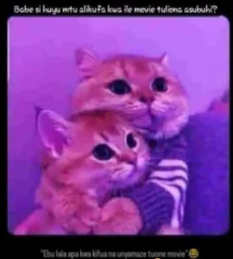 Babe s ly mtu clkufahuc o moue fuliong asubuh? cbulaagnataabuanaunnotuonamona