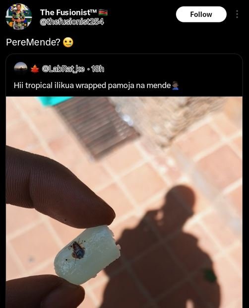 The fusionisttu ihejusionist254 follow peremende? labrat ka ' 18h hii tropical i