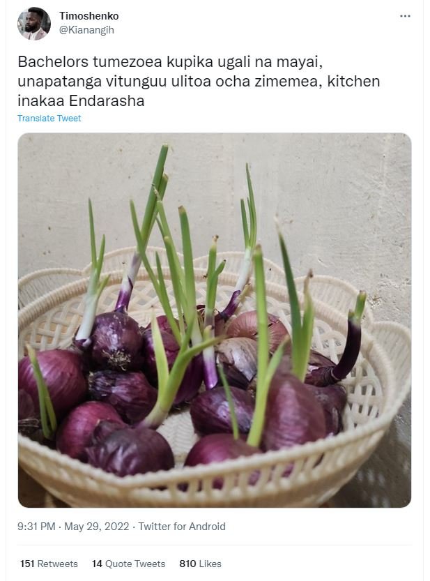 Timoshenko kianangih bachelors tumezoea kupika ugali na mayai, unapatanga vitung