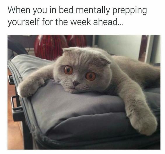 When you in bed mentally prepping yourself for the week ahead.