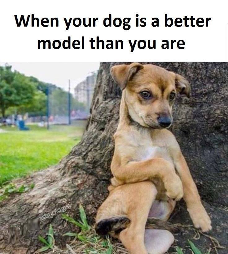When your dog is a better model than you are