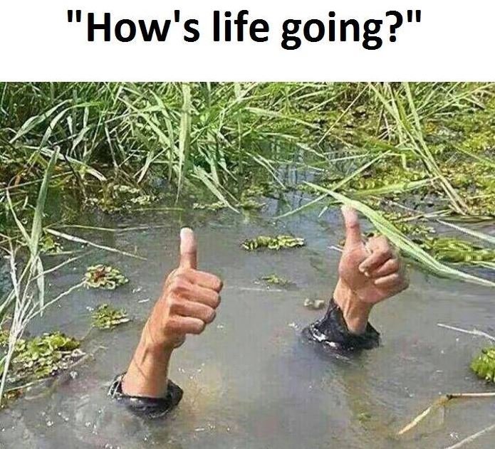 How's life going?