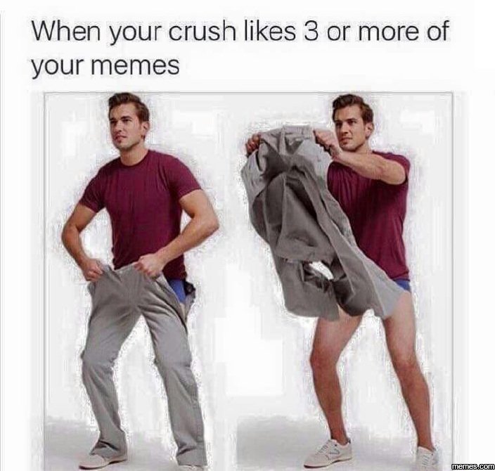When your crush likes 3 or more of your memes memes