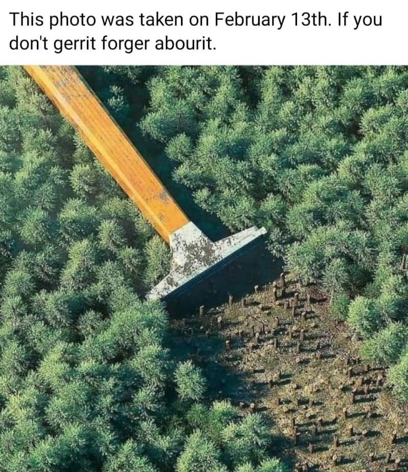 This photo was taken on February 13th. If you don't gerrit forger abourit.