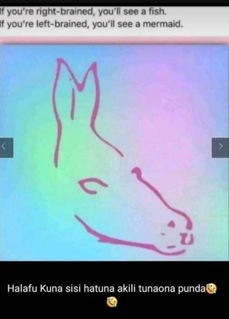 Youre rightbrained, youil see a fish. you're leftbrained , you'il see a mermaid