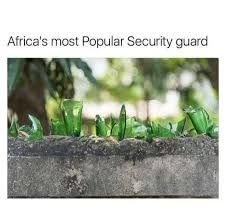 Africa's mcst popular security guard