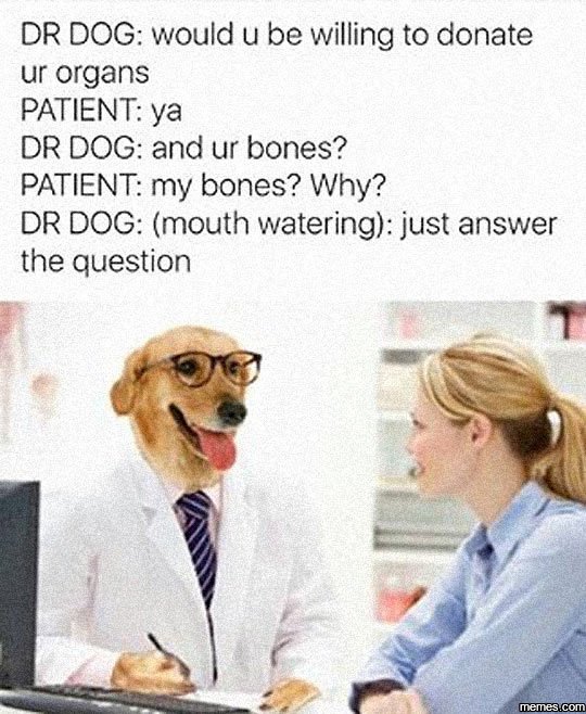 Dr dog would u be willing to donate ur organs patient ya dr dog and ur bones? pa