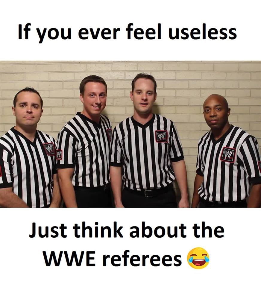 If you ever feel useless just think about the wwe referees