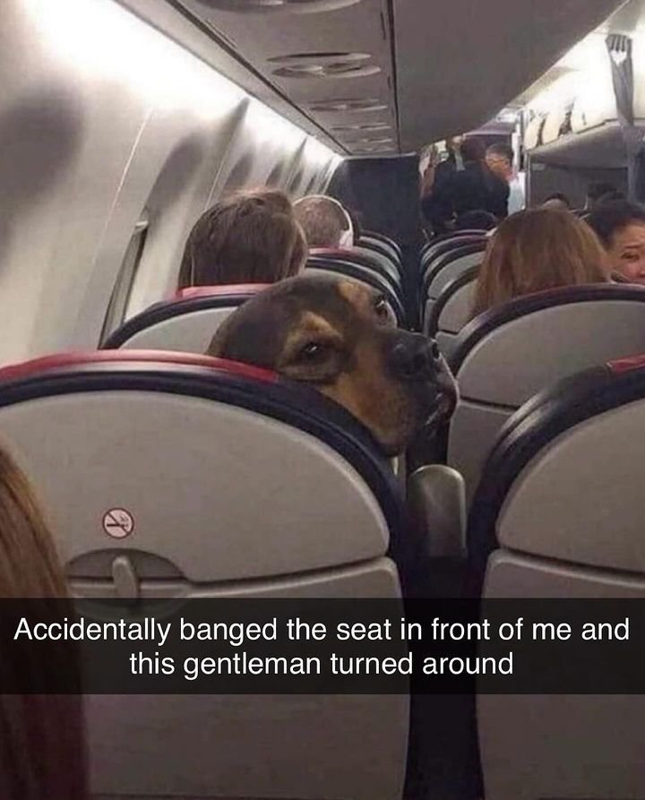 Accidentally banged the seat in front of me and this gentleman turned around