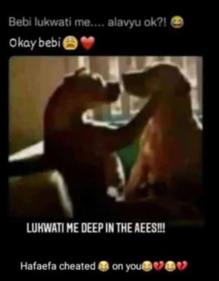 Bebi lukwati me alavyu 0k21 okay' bebil lukwati he deep im the aeesw halaefa che