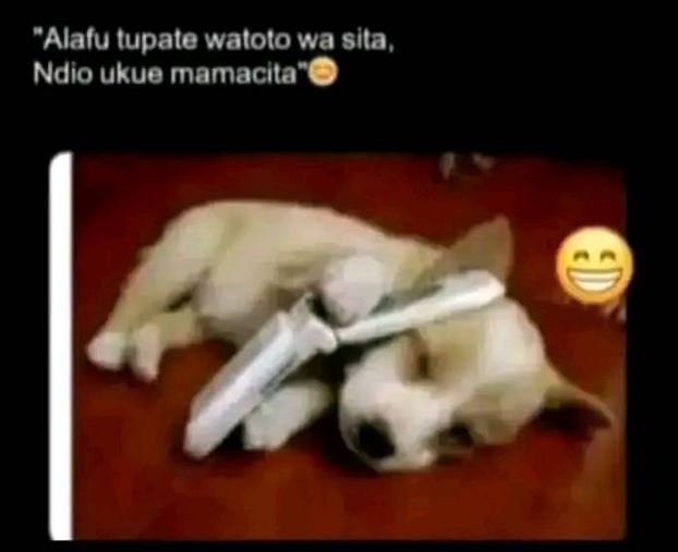 Alafu iupale walolo wa slta, ndio ukue mamacıta