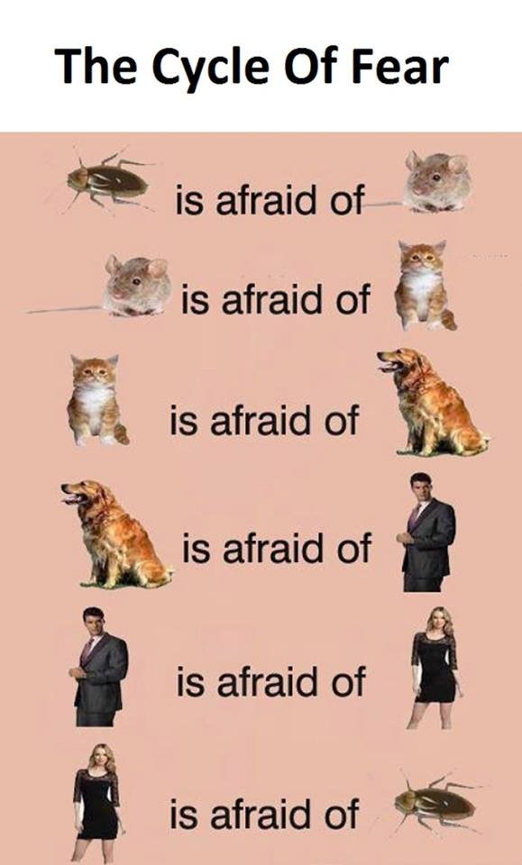 The cycle of fear is afraid of is afraid of is afraid of is afraid of is afraid