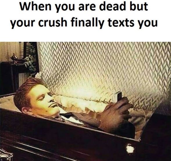When you are dead but your crush finally texts you