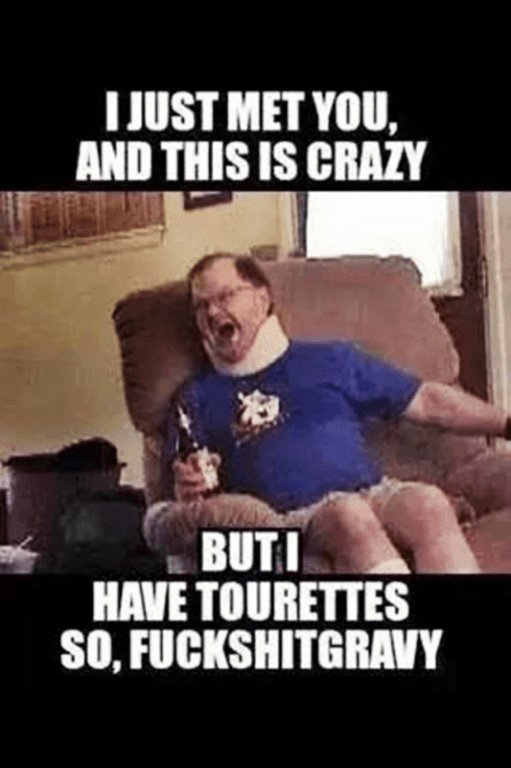 Ijust met you, and this is crazy buti have tourettes so, fuckshitgravy