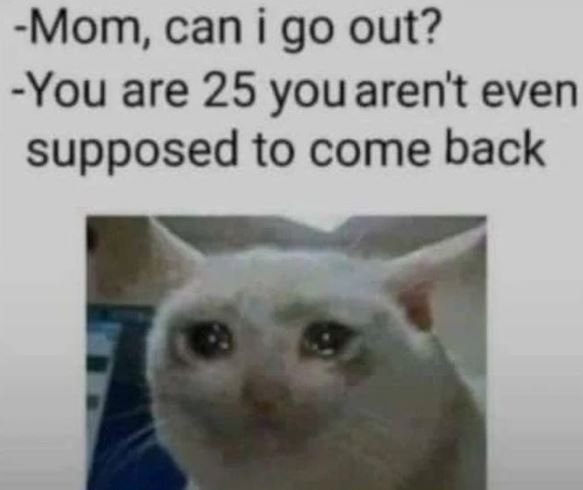 Mom can i go out? You are 25 you aren't even supposed to come back