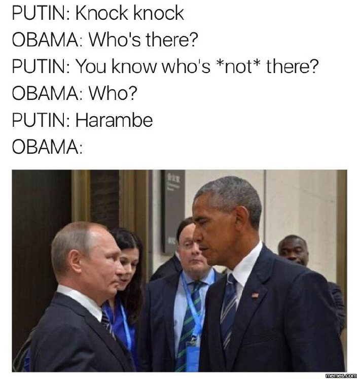 Putin knock knock obama who's there? putin you know who's not there? obama who?