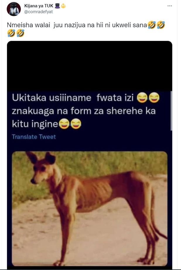 Kijana ya tuk comradefyat nmeisha walai juu nazijua na hii ni ukweli sana39 ukit