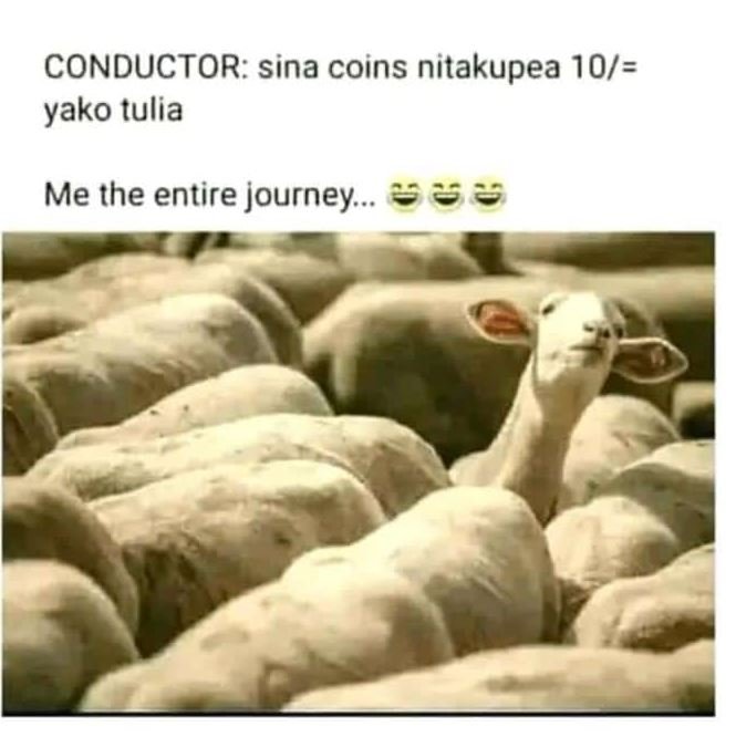 Conductor sina coins nitakupea 10 yako tulia me the entire journey s
