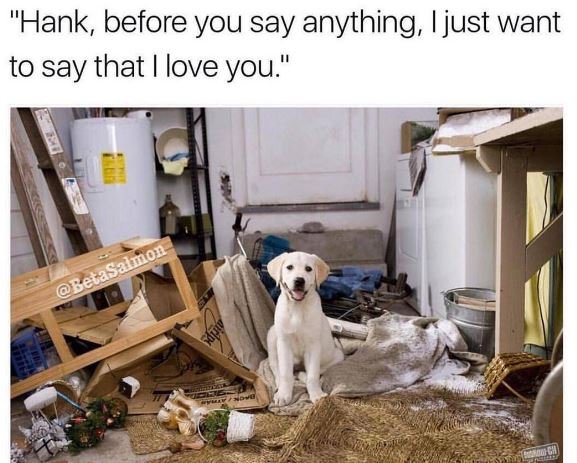 Hank, before you say anything ijust want to say that i love you betasalnon