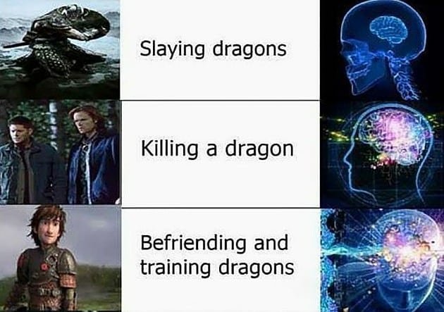 Slaying dragons killing a dragon befriending and training dragons