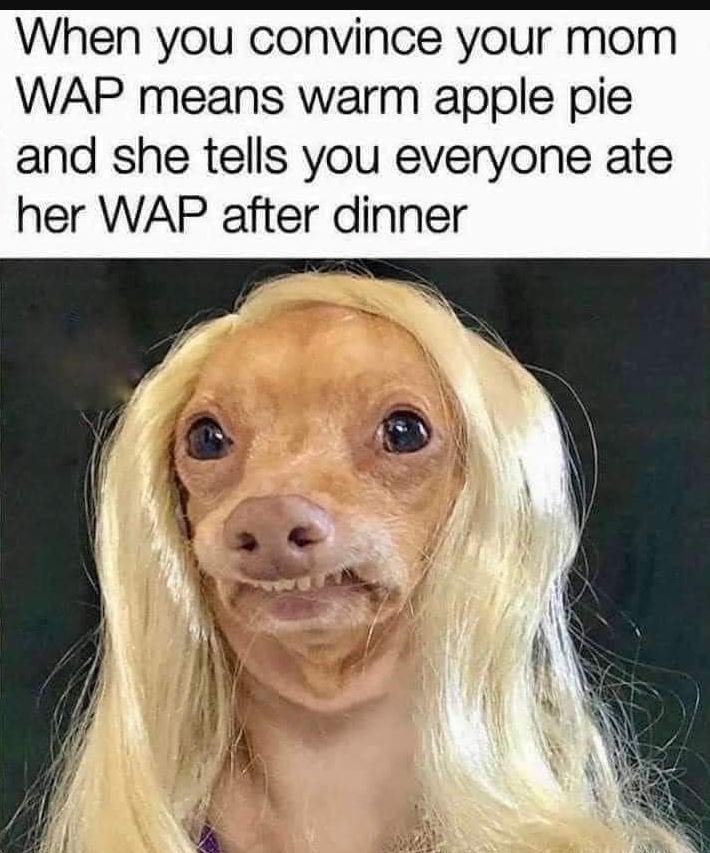When you convince your mom wap means warm apple pie and she tells you everyone a