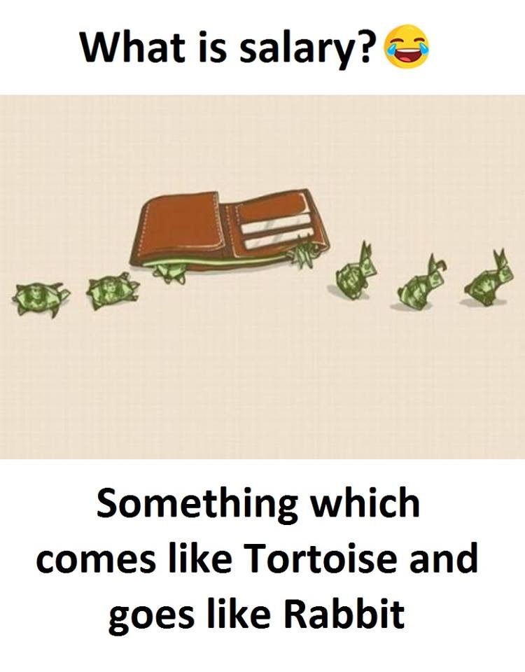 What is salary? something which comes like tortoise and goes like rabbit