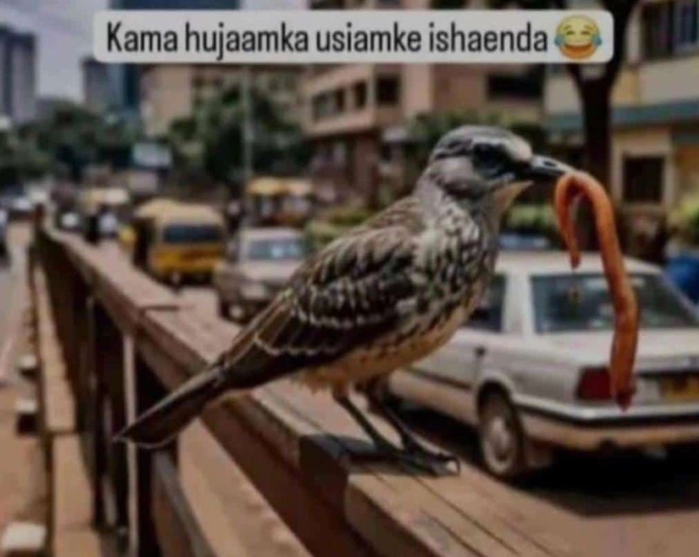 Kama hujaamka usiamke ishaenda