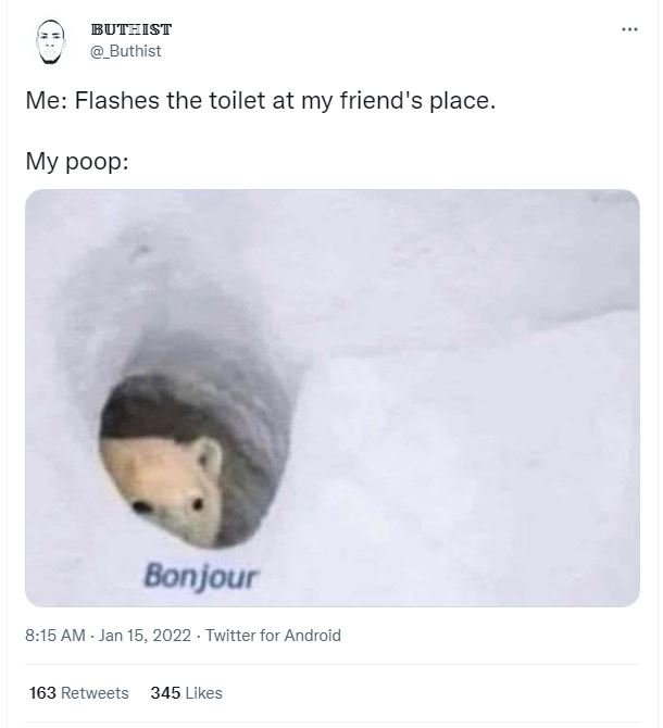 BUT_IST Buthist Me Flashes the toilet at my friend's place. My poop Bonjour 8.15