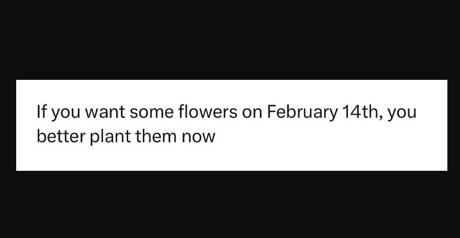 If you want some flowers on february 14th, you better plant them now