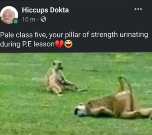 Hiccups dokta 10 m pale class five your pillar of strength urinating during pe l