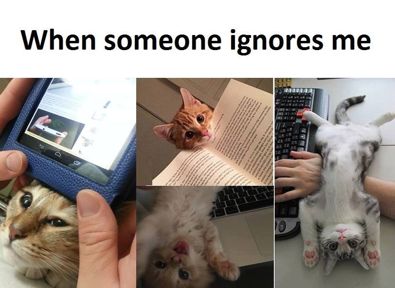 When someone ignores me