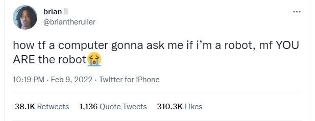 brian briantheruller how tf a computer gonna ask me if im a robot, mf YOU ARE th