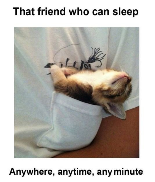 That friend who can sleep anywhere, anytime, anyminute