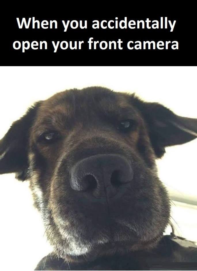 When you accidentally open your front camera
