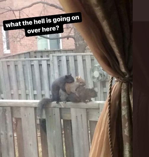 The hell is going on what over here?