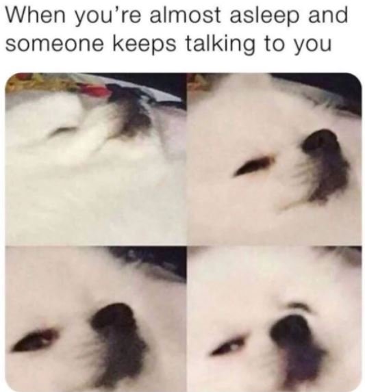When you're almost asleep and someone keeps talking to you