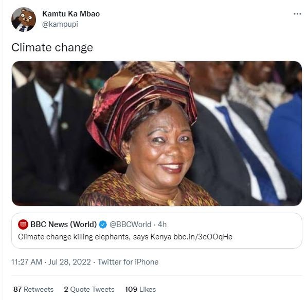 Kamtu ka mbao kampupi climate change bbc news world bbcworld 4h climate change k