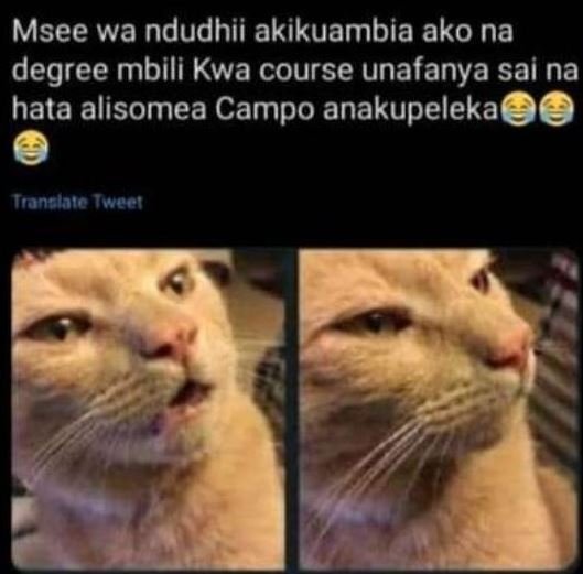 Msee wa ndudhii akikuambia ako na degree mbili Kwa course unafanya sai na hata a