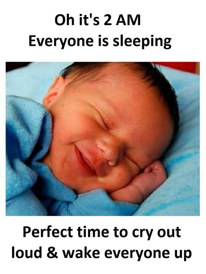 Oh it's 2 am everyone is sleeping perfect time to cry out loud wake everyone up