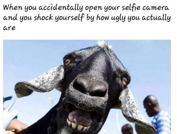 When you accidentally open your selfie camera and you shock yourself by how ugly