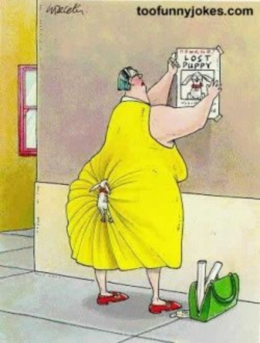 K4k toofunnyjokes com lost pufey