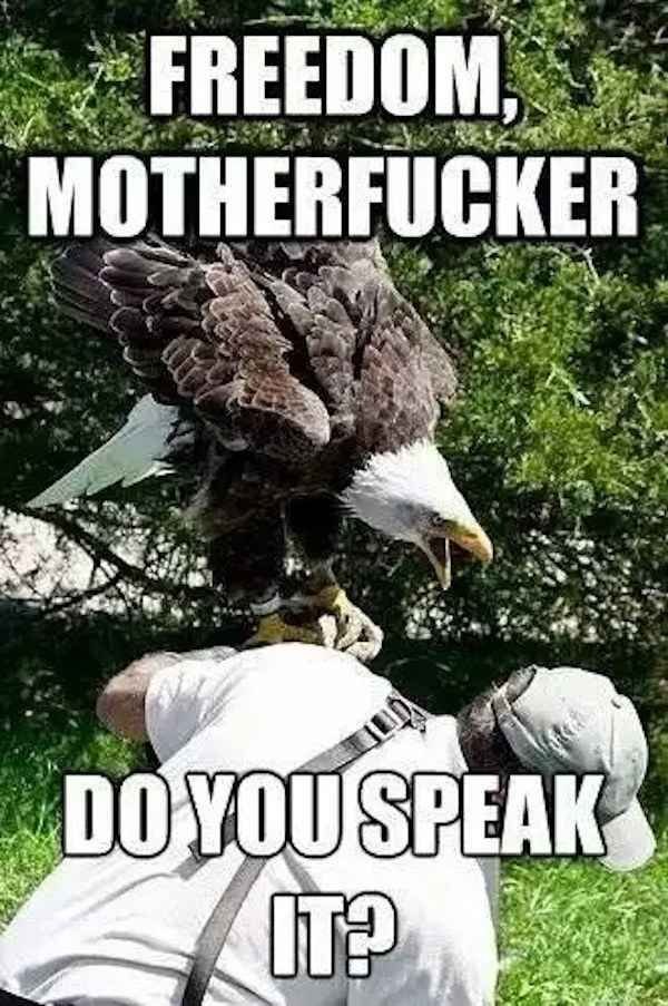 Freedom, 9 motherfucker doyouspeak i2