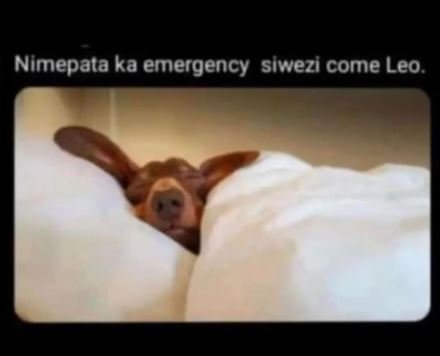 Nimepata ka emergency siwezi come leo