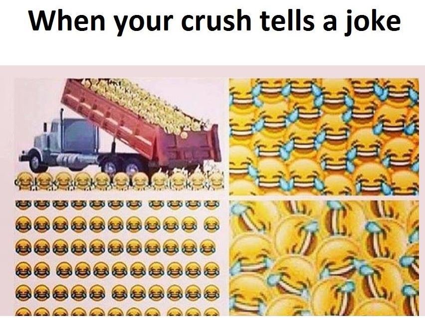When your crush tells a joke