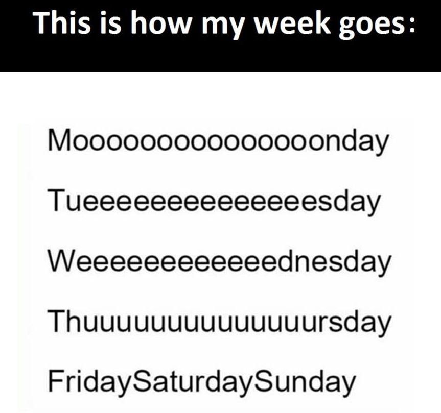 This is how my week goes mooooooooooooooonday tueeeeeeeeeeeeeesday weeeeeeeeeeee
