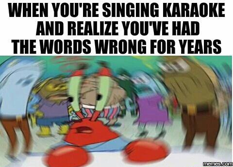 When you're singing karaoke and realize you've had the words wrong for years mem