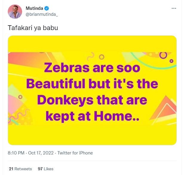 Mutinda brianmutinda tafakari ya babu zebras are soo beautiful but it's the donk