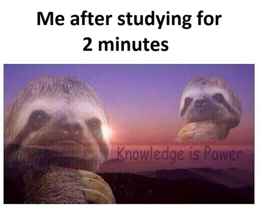 Me after studying for 2 minutes knowledge is power