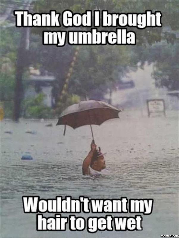 Thank godl brought myumbrella wouldnitwanimy haiftogeluel memes com