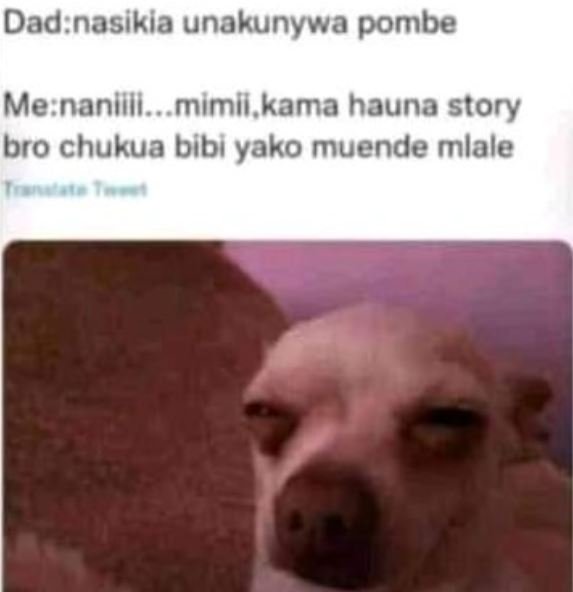 Dadnasikia unakunywa pombe Me nanlili. mimil kama hauna story bro chukua bibi ya